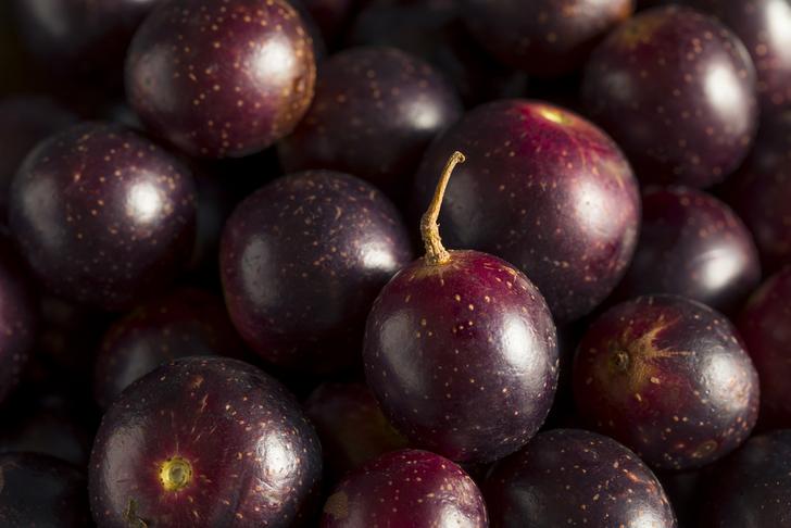 antioxidant benefits-red-wine